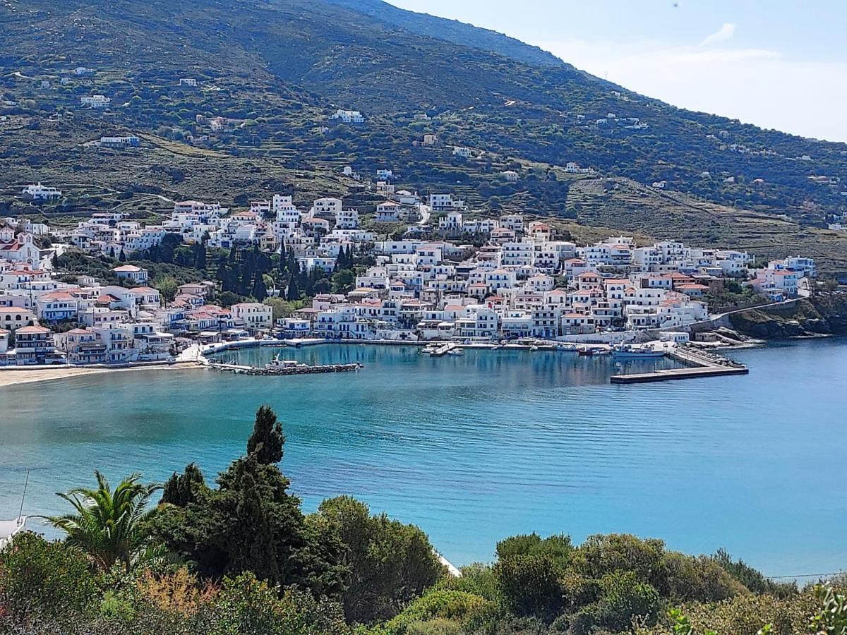 Villa Arni Andros - Βίλα Αρνη Batsíon Exterior foto