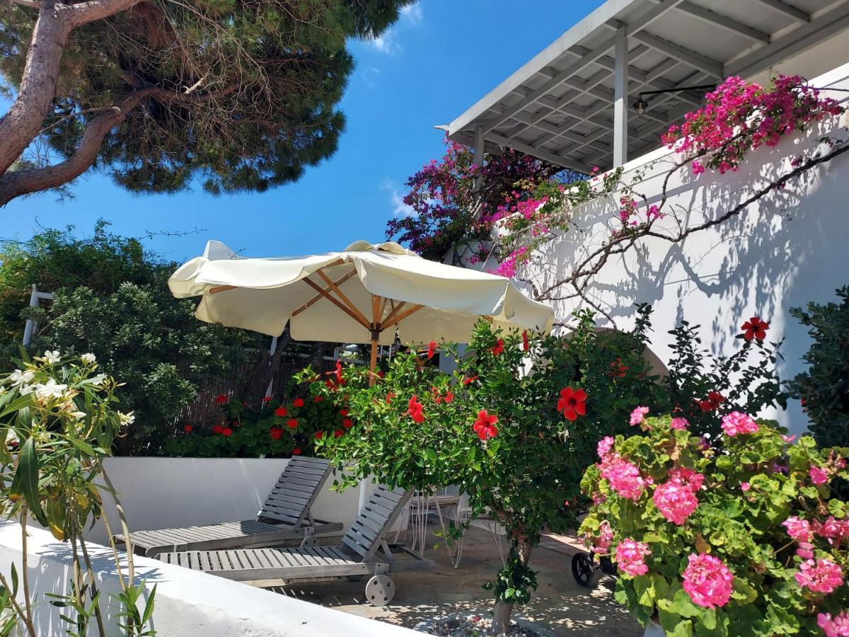 Villa Arni Andros - Βίλα Αρνη Batsíon Exterior foto