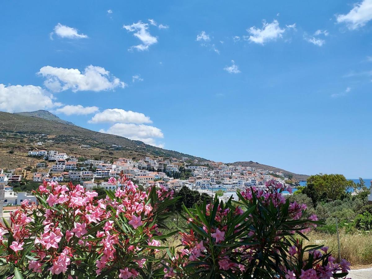 Villa Arni Andros - Βίλα Αρνη Batsíon Exterior foto