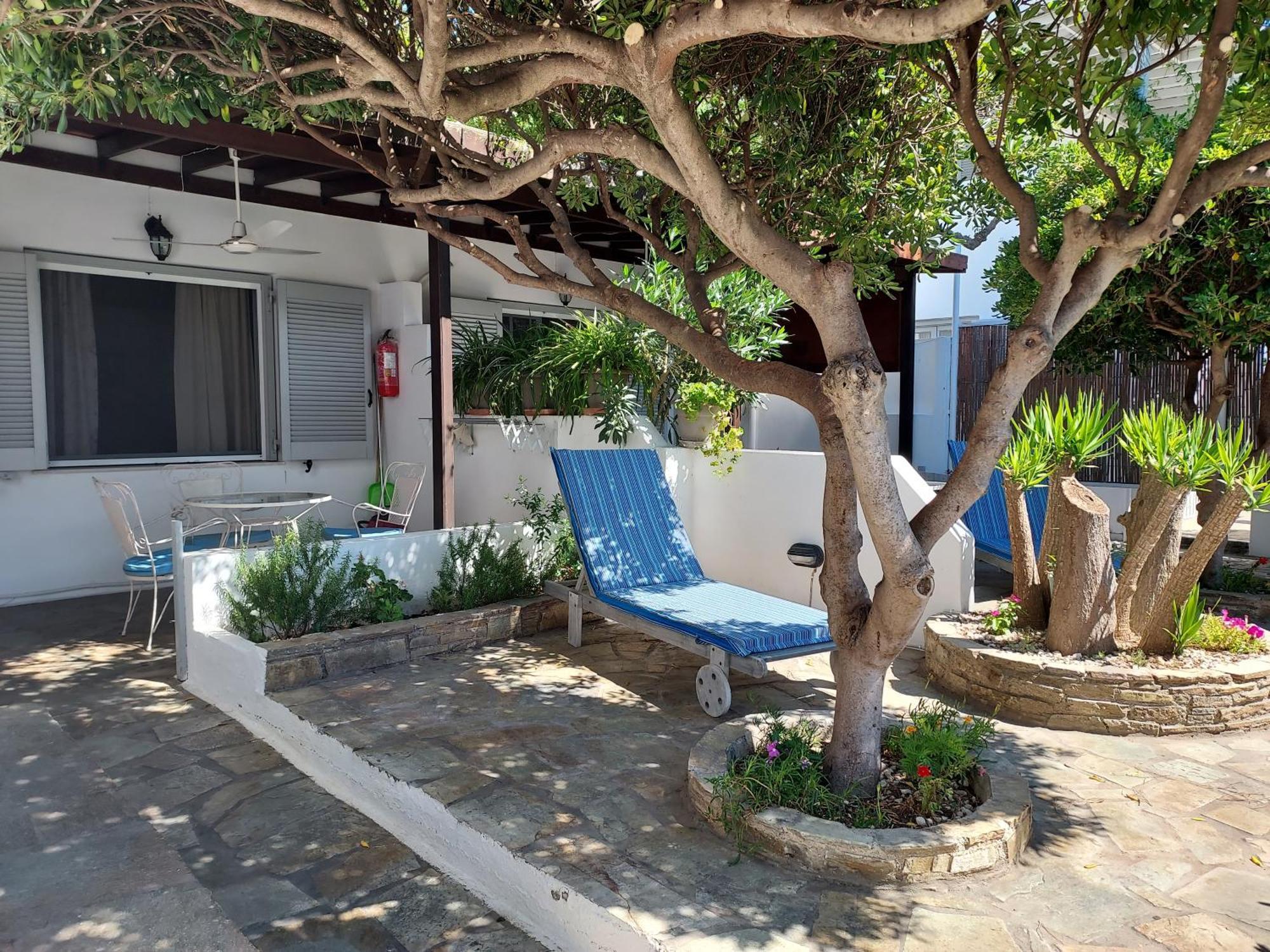 Villa Arni Andros - Βίλα Αρνη Batsíon Zimmer foto